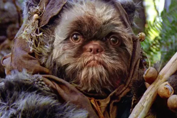 Cómo se llaman los ositos de Star Wars