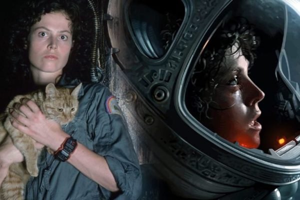 En este artículo, exploramos el emocionante y tenso final de "Alien", la película de 1979 dirigida por Ridley Scott. Desglosamos la secuencia de eventos, su impacto y lo que significa para la protagonista, Ellen Ripley.