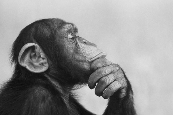 Películas que te hacen pensar.